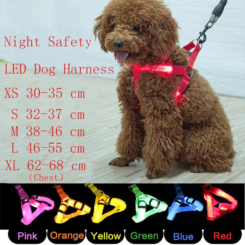 LED USB Rechargeable Dog Harness Small Medium Adjustable Nylon Pet Dog Collar Led Light Night Safety Glowing Harness For Dog Cat