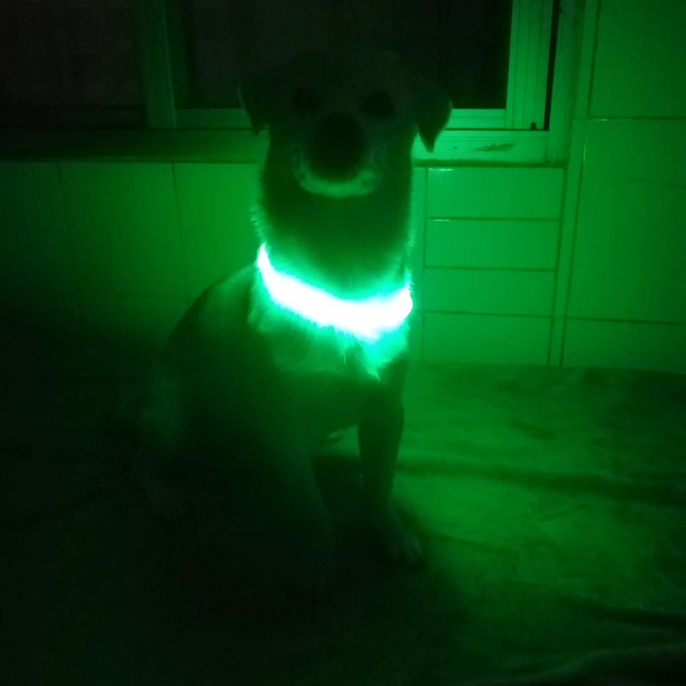 Adjustable LED Pet Collar Luminous Pet Safety Collars Water Resistant Flashing Light Dog Collar Dog Harness Collar #W0