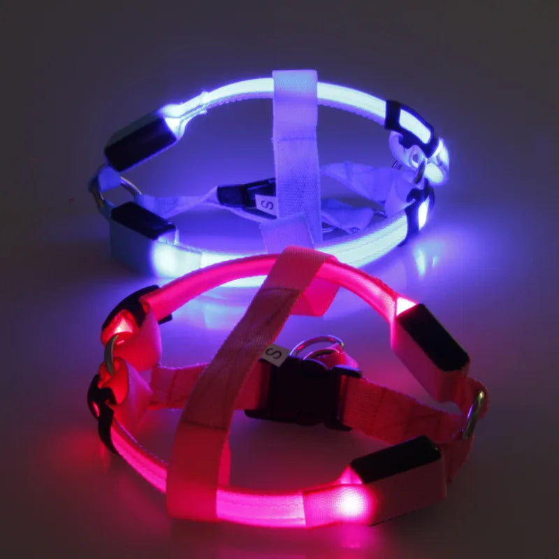 LED USB Rechargeable Dog Harness Small Medium Adjustable Nylon Pet Dog Collar Led Light Night Safety Glowing Harness For Dog Cat