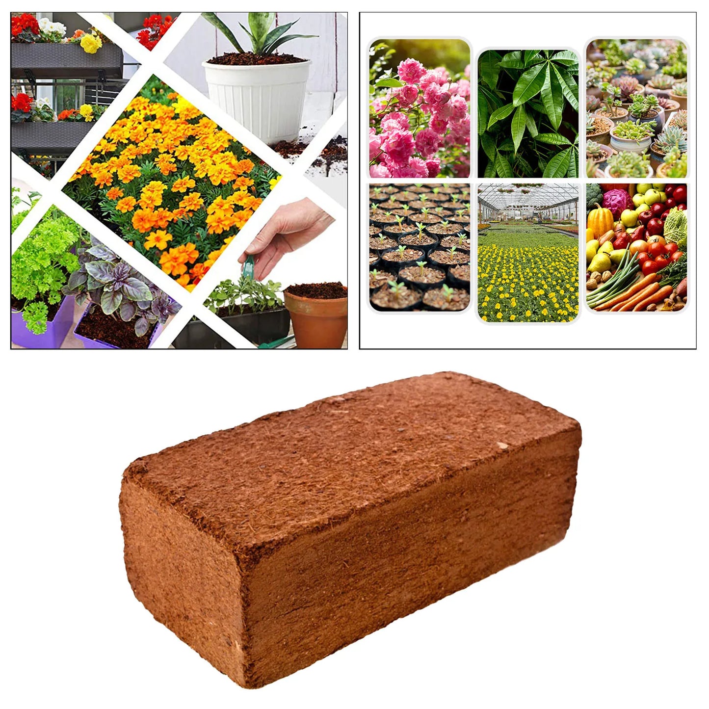 650g 9L Planting Coco Nutrient Soil Substrate Coconut Coir Bricks Coir Pith Growing Media