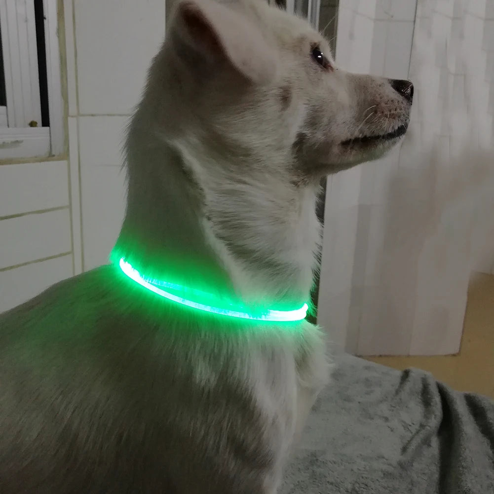 Adjustable LED Pet Collar Luminous Pet Safety Collars Water Resistant Flashing Light Dog Collar Dog Harness Collar #W0