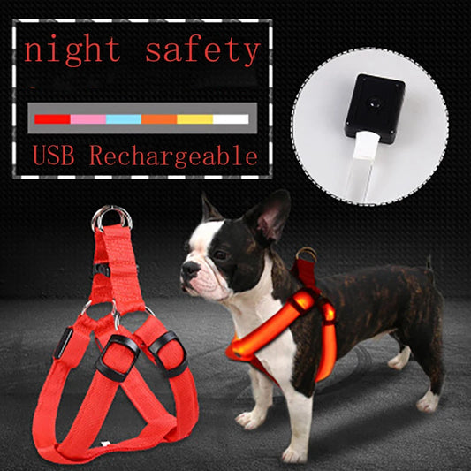 LED USB Rechargeable Dog Harness Small Medium Adjustable Nylon Pet Dog Collar Led Light Night Safety Glowing Harness For Dog Cat