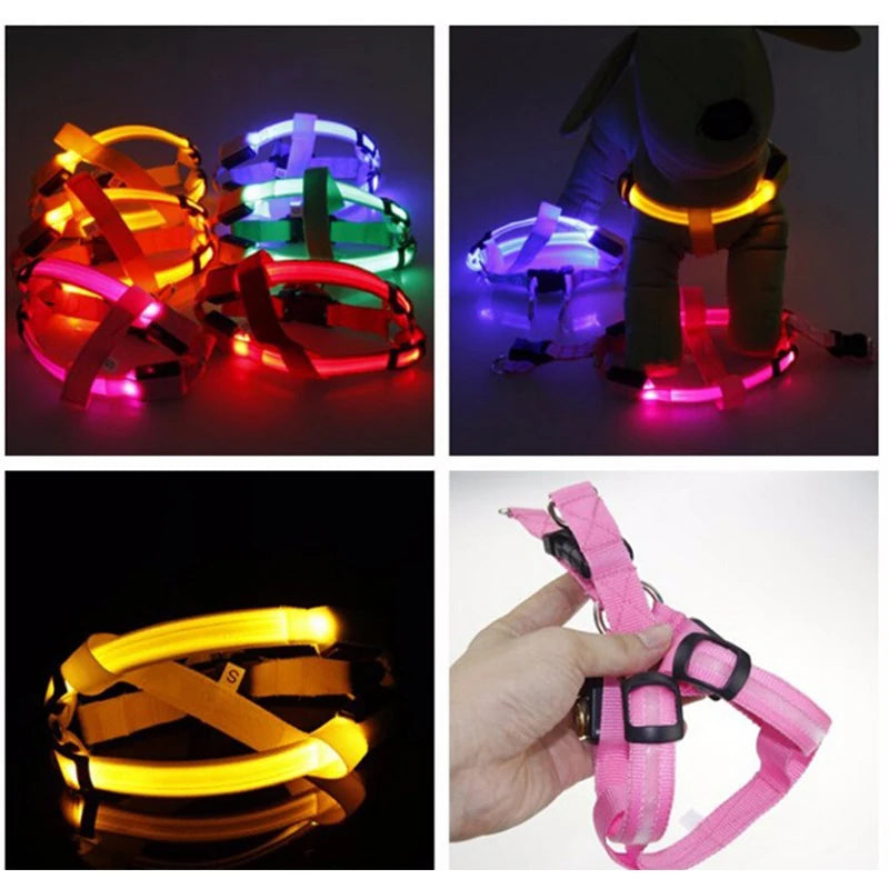 LED USB Rechargeable Dog Harness Small Medium Adjustable Nylon Pet Dog Collar Led Light Night Safety Glowing Harness For Dog Cat