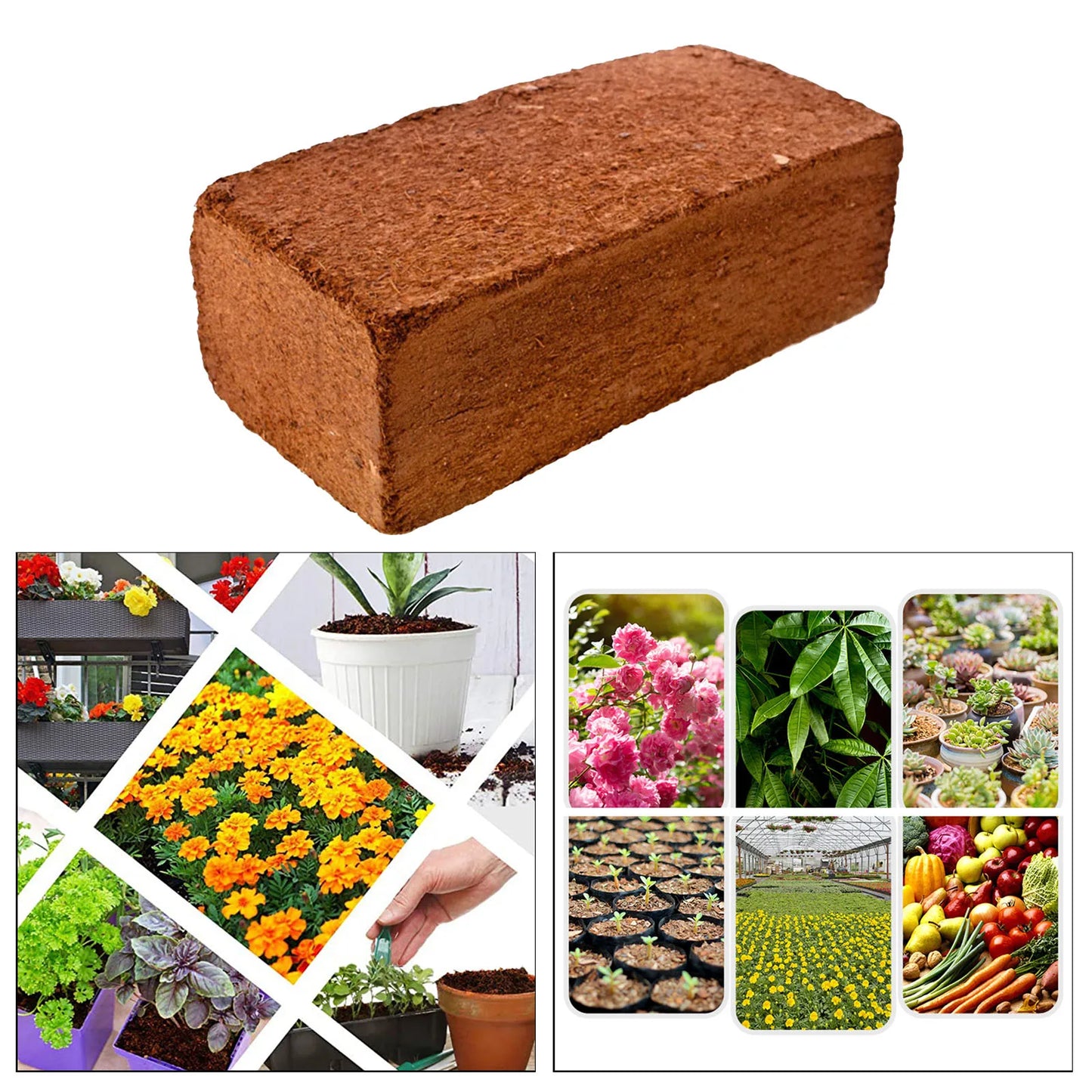 650g 9L Planting Coco Nutrient Soil Substrate Coconut Coir Bricks Coir Pith Growing Media