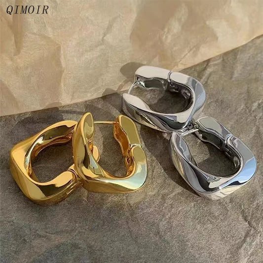 Metal Hoop Earrings For Women Designer Heavy Basic Styles Copper Geometric Ear Rings Retro Fashion New Jewelry Party Gifts C1174