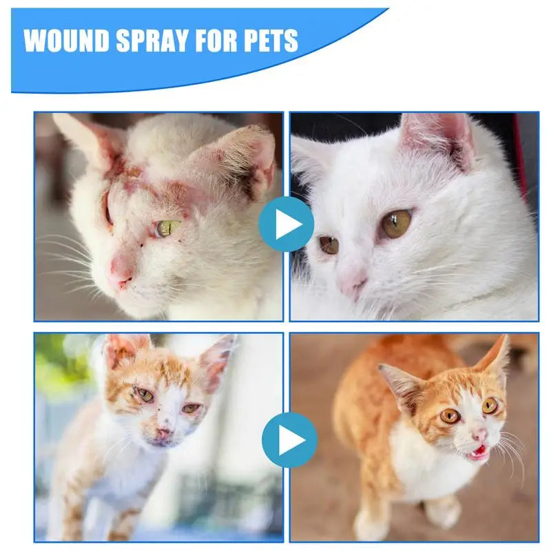 30ml Pets Anti-Itch And Itch Relief Dogs Cat Skin Healthy Care Spray Skin Care Treat Products For Itchy And Sensitive Skin