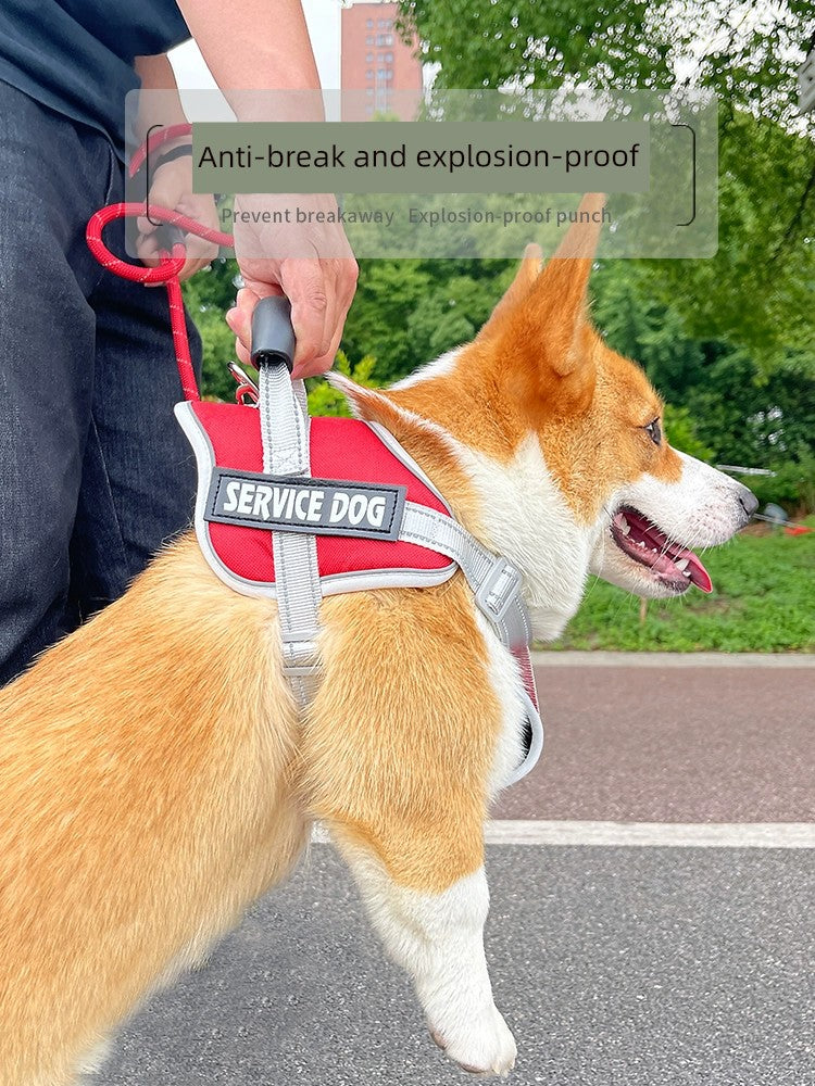 Vest-Style Dog Traction Rope Corgi Golden Retriever Supplies Large, Medium and Small Dogs Anti-Release Retractable Dog Leash Dog Chain