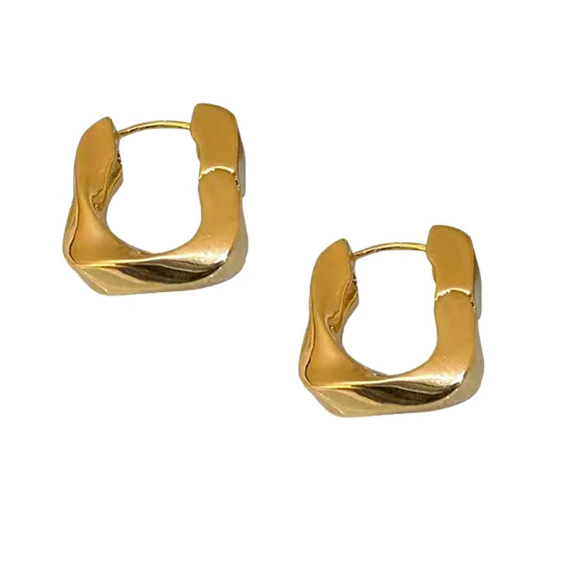 Metal Hoop Earrings For Women Designer Heavy Basic Styles Copper Geometric Ear Rings Retro Fashion New Jewelry Party Gifts C1174