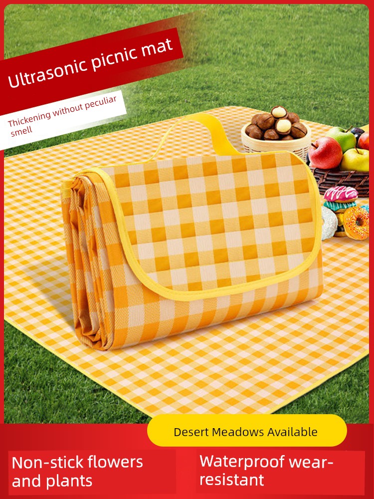 Picnic Mat Outdoor Camping Spring Outing Cloth Cushion Thickened Waterproof Moisture-Proof Foldable Cushion Portable Picnic Picnic Blanket