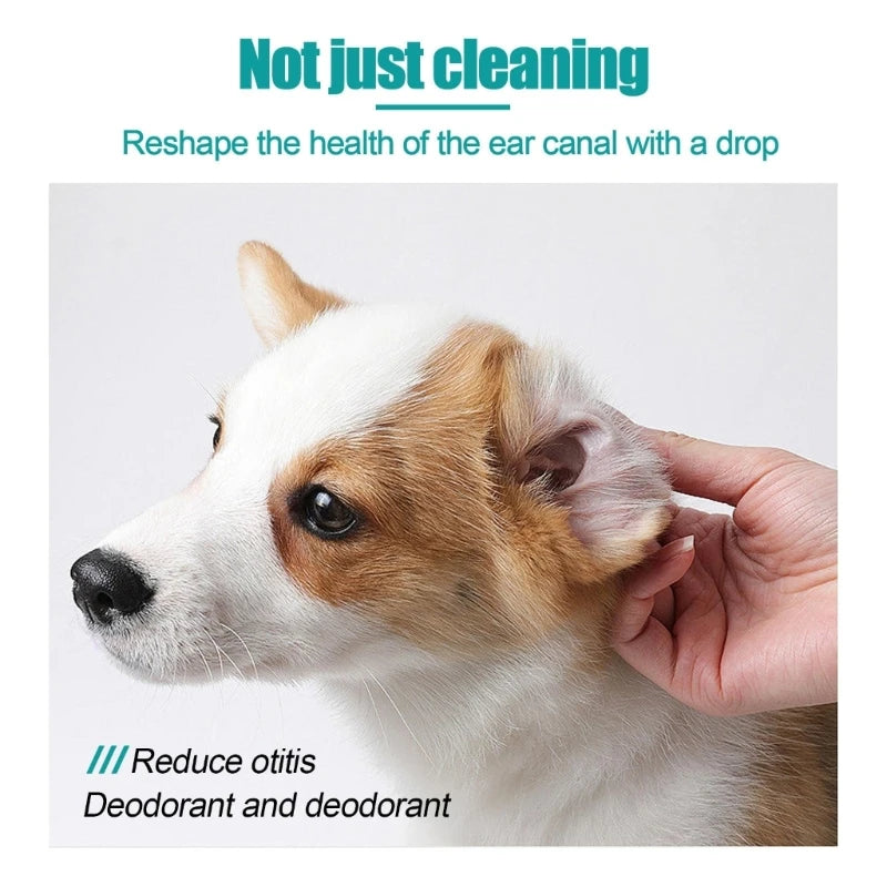 Ear Cleanser Oil for Dogs Efficient Natural Ear Cleaner Oil Pet Ear Care Product